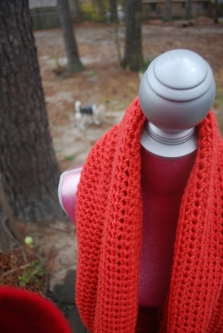 coral cowl (with max in the background)